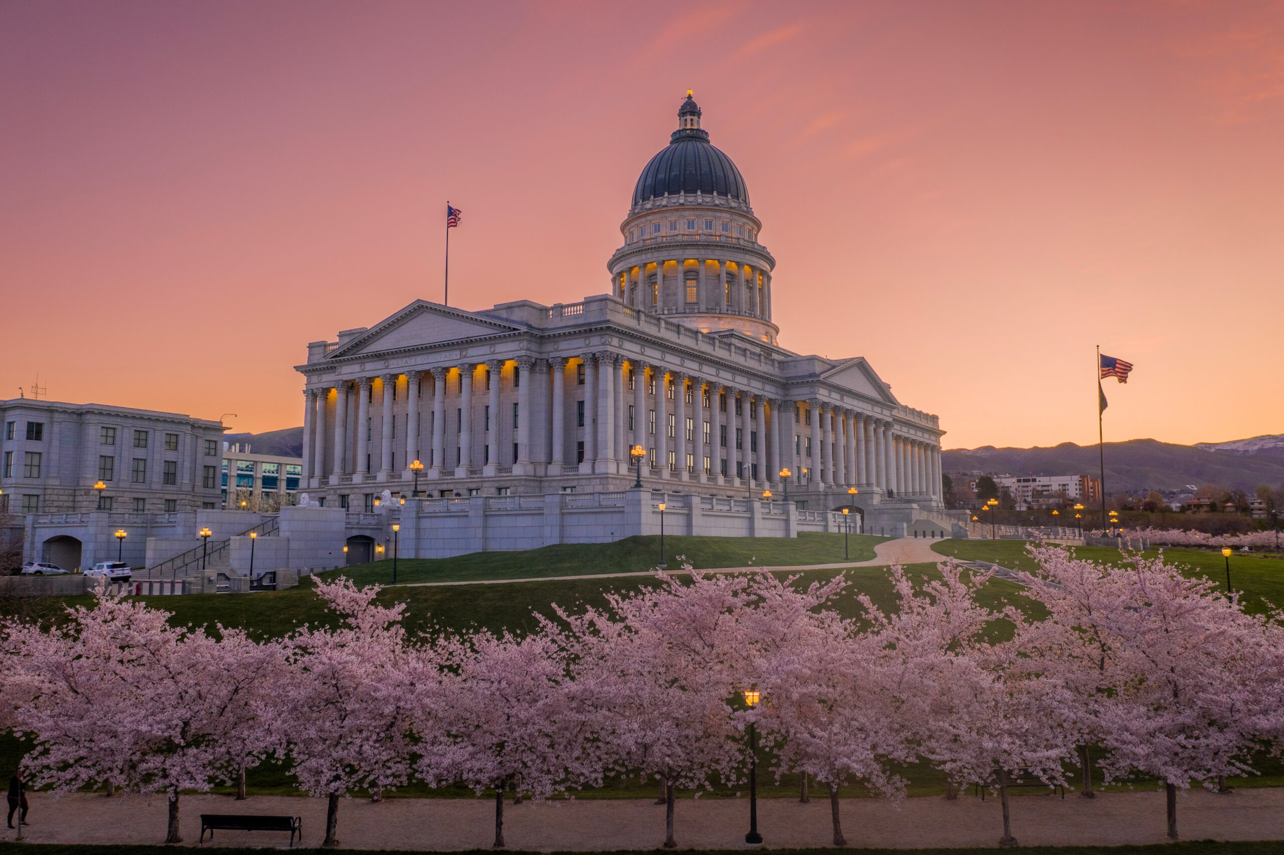Utah Capitol Cherry Blossoms Utah Capitol Cherry Blossoms